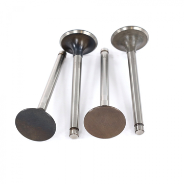 Комплект выпускных клапанов двигателя