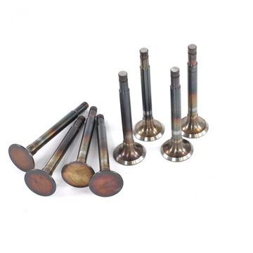 Комплект выпускных клапанов двигателя