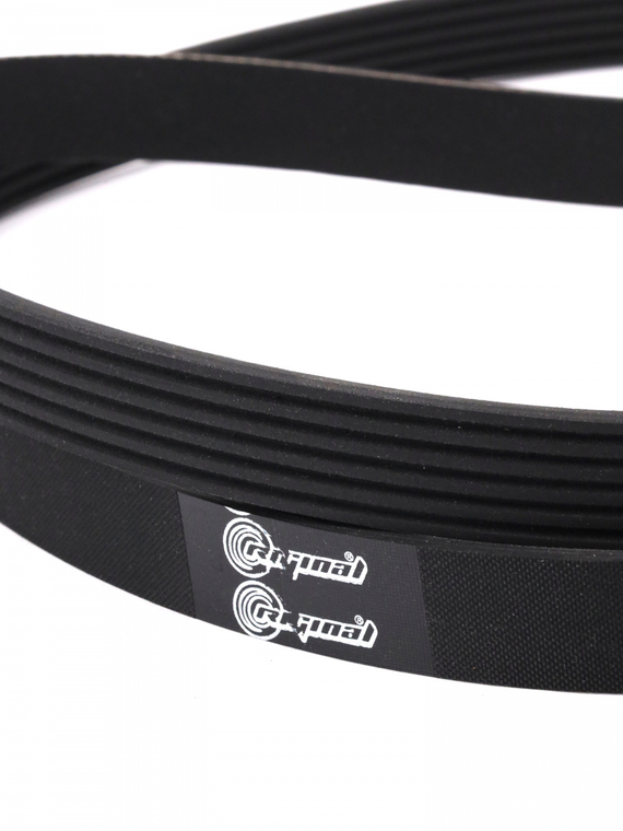 Ремень поликлиновой 6PK1630